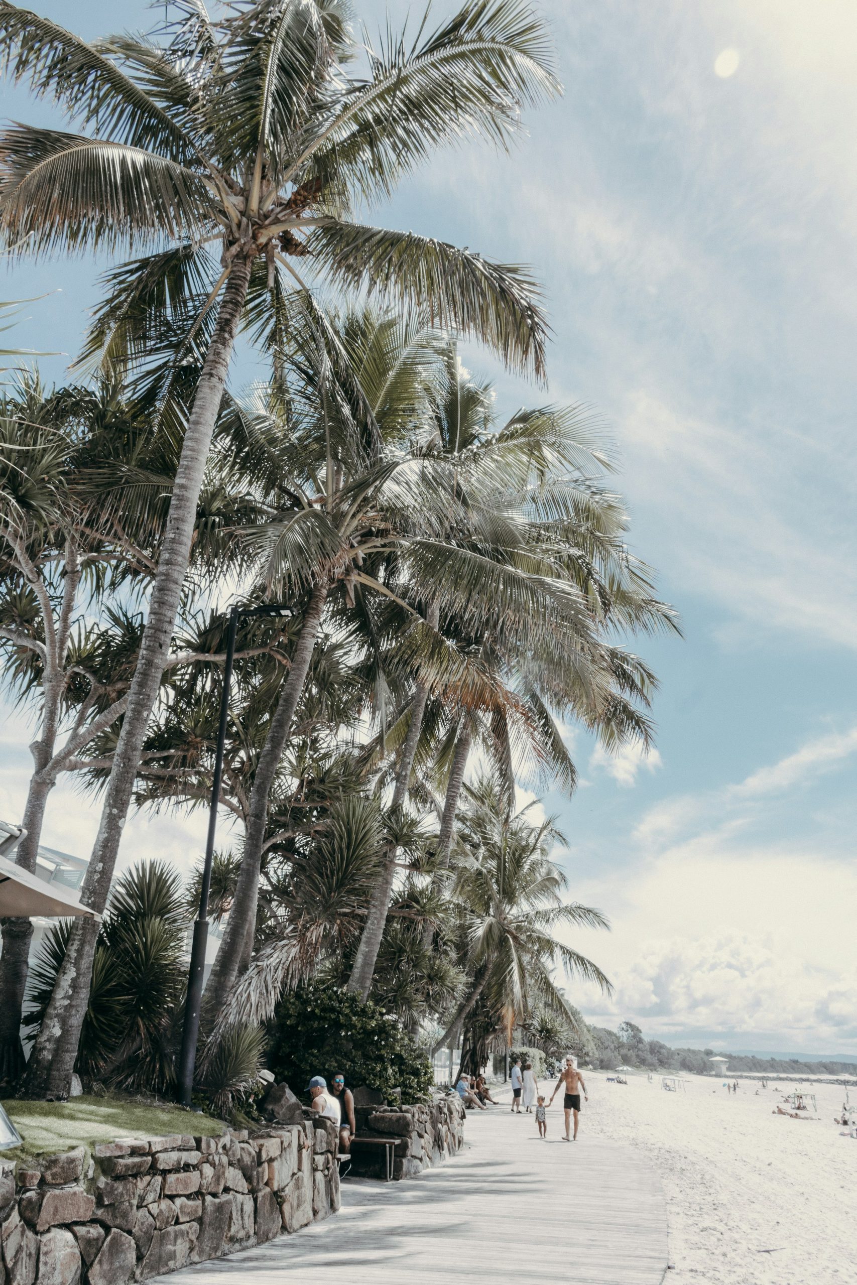 Palm trees beside Noosa Main Beach